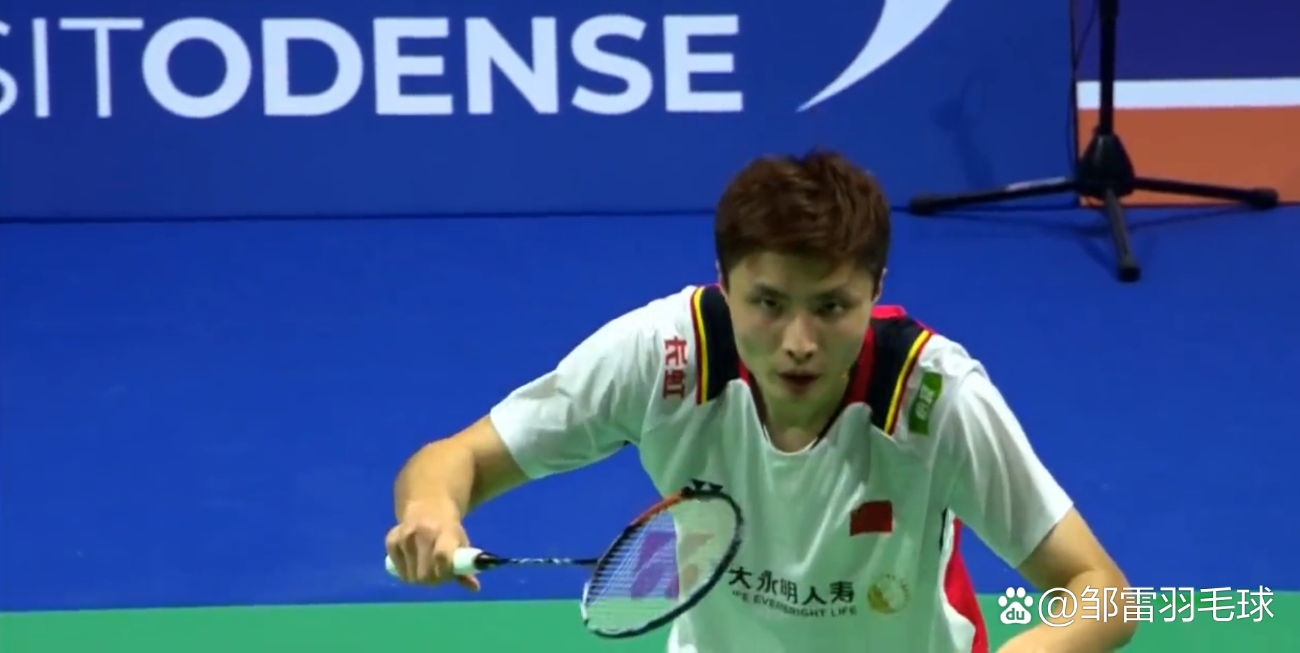 华体会下载-德国队翻盘丹麦队，李梓嘉惊艳四座的简单介绍