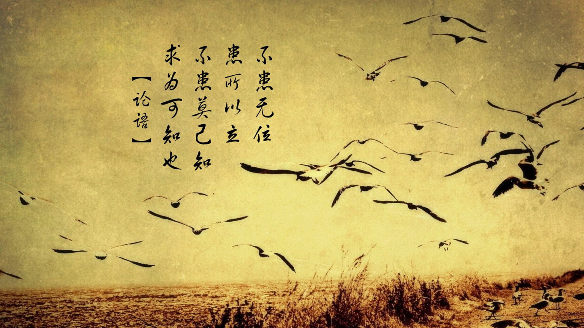 沙漠之狐的致命一击,防守反击奏效,沙特完胜奥地利,齐耶赫一剑封喉改写C组格局
